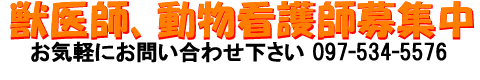 btAŌtWłBڍׂTELɂĂ₢킹B